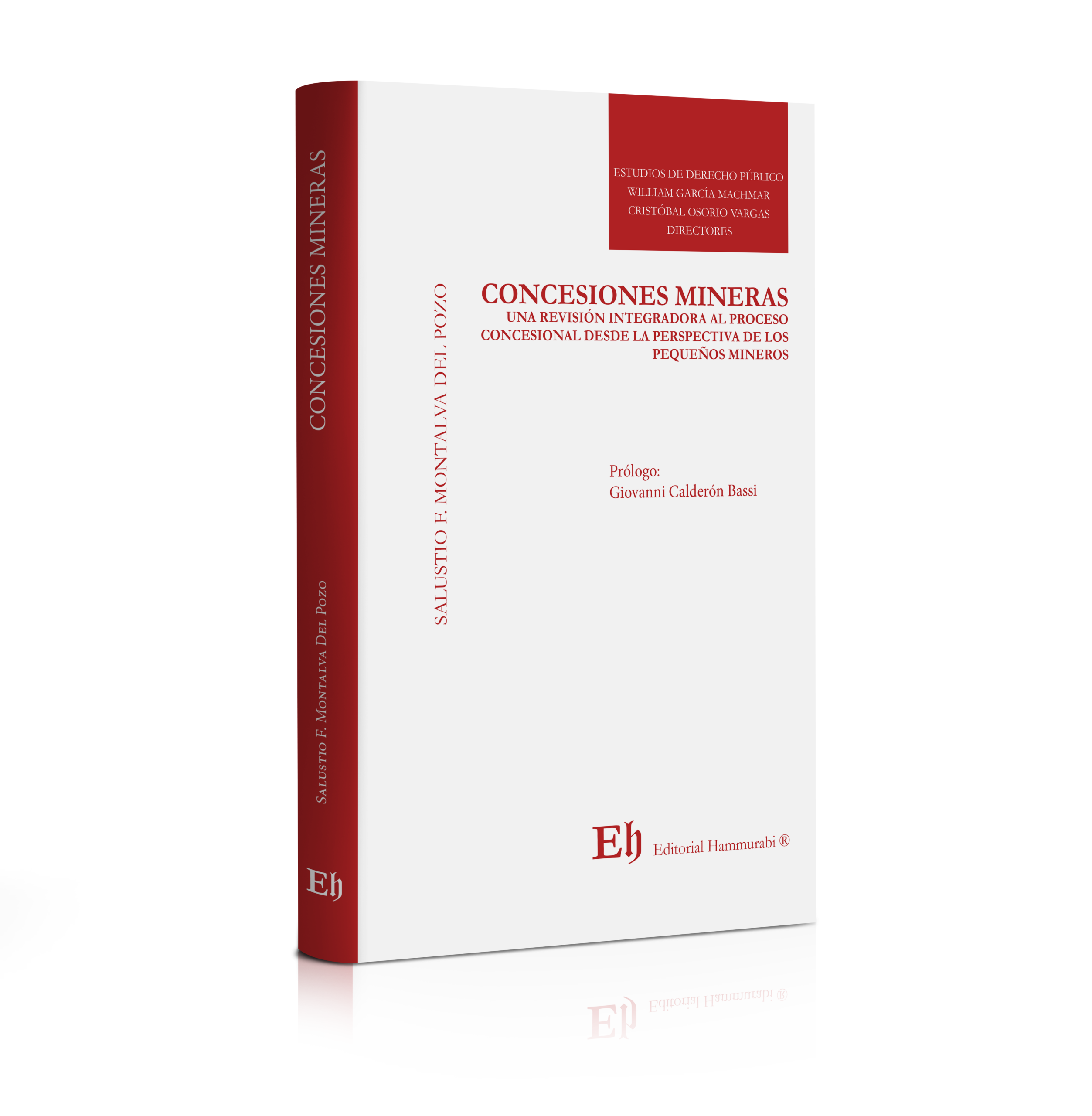 Concesiones mineras, libro de Salustio Montalva publicado por Editorial Hammurabi